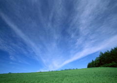 �˥塼��������ե��᡼�����Ҳ����