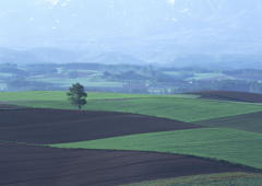 �˥塼��������ե��᡼�����Ҳ����