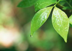 �˥塼��������ե��᡼�����Ҳ����