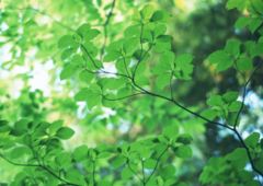 �˥塼��������ե��᡼�����Ҳ����