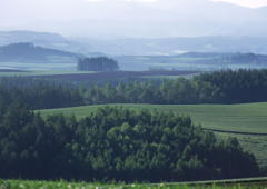 �˥塼��������ե��᡼�����Ҳ����