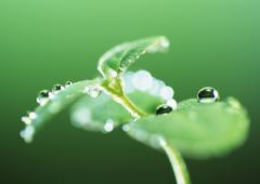 �˥塼��������ե��᡼�����Ҳ����