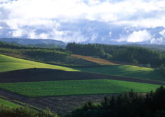 �˥塼��������ե��᡼�����Ҳ����