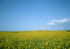 �˥塼��������ե��᡼�����Ҳ����