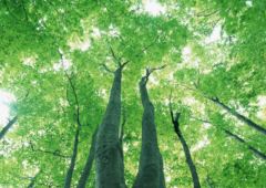 �˥塼��������ե��᡼�����Ҳ����