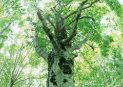 �˥塼��������ե��᡼�����Ҳ����