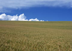 �˥塼��������ե��᡼�����Ҳ����