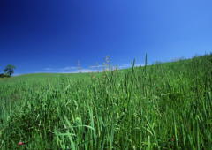 �˥塼��������ե��᡼�����Ҳ����