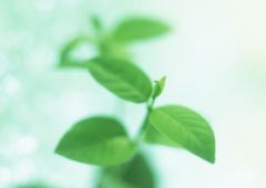 �˥塼��������ե��᡼�����Ҳ����